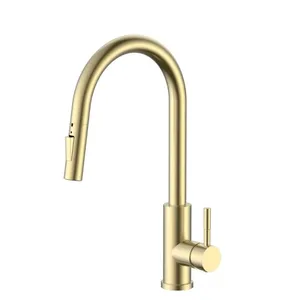 ברז מטבח מיקסר נשלף שני מצבים דגם יו פורם U FORM זהב מוברש 138602BRGLD שוני SHONY