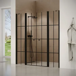 מקלחון חזית 2 דפנות קבועות + 2 דלתות על ציר אנדרסון 121-265 ס"מ שחור מט DorRaphael