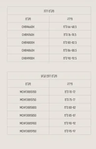 מקלחון פינתי דלת + דופן קבועה אורורה 66-97 ס"מ ניקל כרום DorRaphael