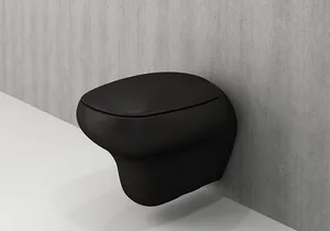 אסלה תלויה פניס 53 ס"מ שחור מט DorRaphael