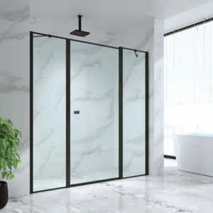 מקלחון חזית TANGO - טנגו 50 ממידה 160 סמ עד מידה 196 סמ שחור מט - סניטק