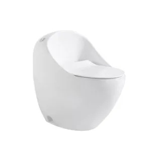 אסלת חרס לבן מבריק דאלאס