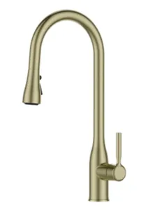 ברז מטבח נשלף 2 מצבי זרימה זהב מט 1025YB סיוון אופיר