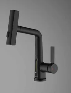 ברז מטבח נשלף 3 מצבי זרימה וצג דיגיטלי שחור מט 1024B סיוון אופיר