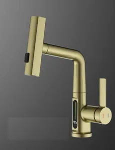 ברז מטבח נשלף 3 מצבי זרימה וצג דיגיטלי זהב מט 1024YB סיוון אופיר