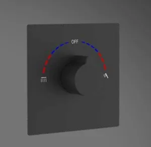 אינטרפוץ 4 דרך מרובע למקלחת סדרת דקל שחור מט 1704B סיוון אופיר