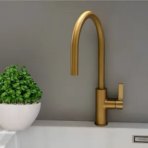 ברז מטבח נירוסטה נשלף דגם מייבל MAYBLE זהב 52912 שוני SHONY