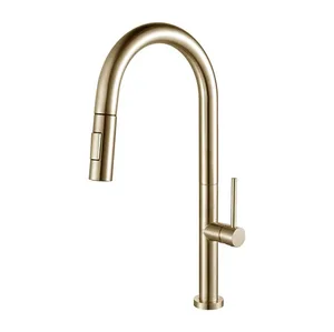 ברז מטבח נינו נשלף פיה מסתובבת שני מצבי זרימה זהב מוברש JS2105AG AQUATOP