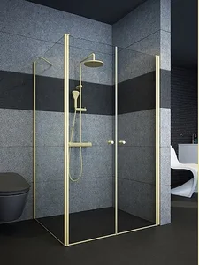 מקלחון פינתי חזית 2 דלתות IN/OUT וקיר צד זהב מידה מיוחדת LORA 3A פורום