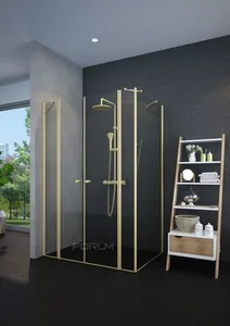 מקלחון פינתי חזית 2 דפנות + 2 דלתות IN/OUT וקיר צד זהב מידה מיוחדת LORA 3G פורום