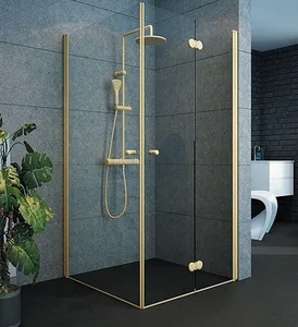 מקלחון פינתי הרמוניקה ודלת ציר IN/OUT זהב מידה מיוחדת 2801D+A פורום