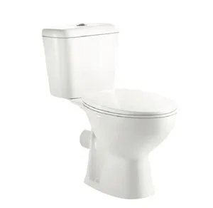 אסלת מונובלוק דגם חרצית כולל מושב אסלה לבן ASLA-06DHR פורום