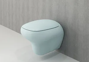 אסלה תלויה פניס 53 ס"מ כחול קרח מט DorRaphael