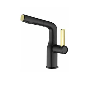 ברז מטבח נשלף 2 מצבי זרימה שחור מט בשילוב זהב מט 1049BG1 סיוון אופיר