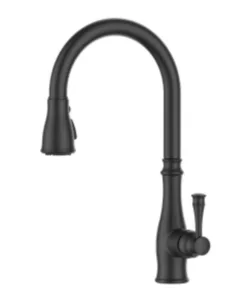 ברז מטבח נשלף 2 מצבי זרימה שחור מט 1054B סיוון אופיר